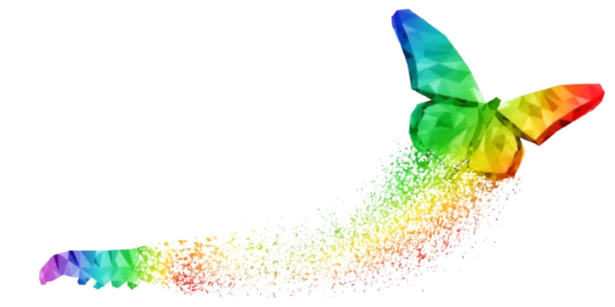 A colourful butterfly taking shape, representing business transformation